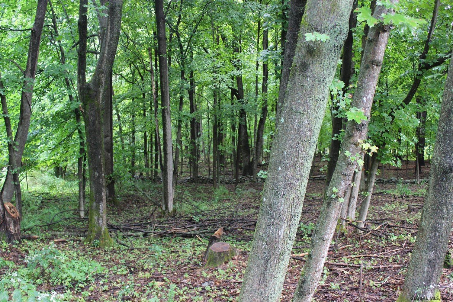 126 HEARTS CONTENT RD Living Structures Hal Zucker Realty Inc.