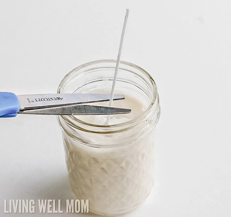 How to Make Easy Homemade Citronella Candles Living Well Mom