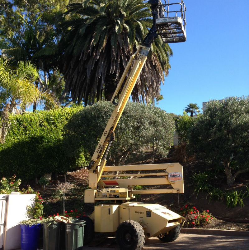 Landscape Tree Trimming with a Boom Lift Midlife Magazine