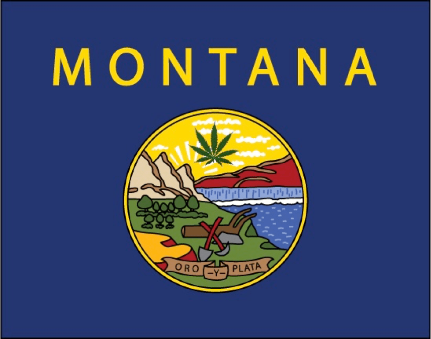The Significance of Montana’s Medical Cannabis Vote Legalize it. We