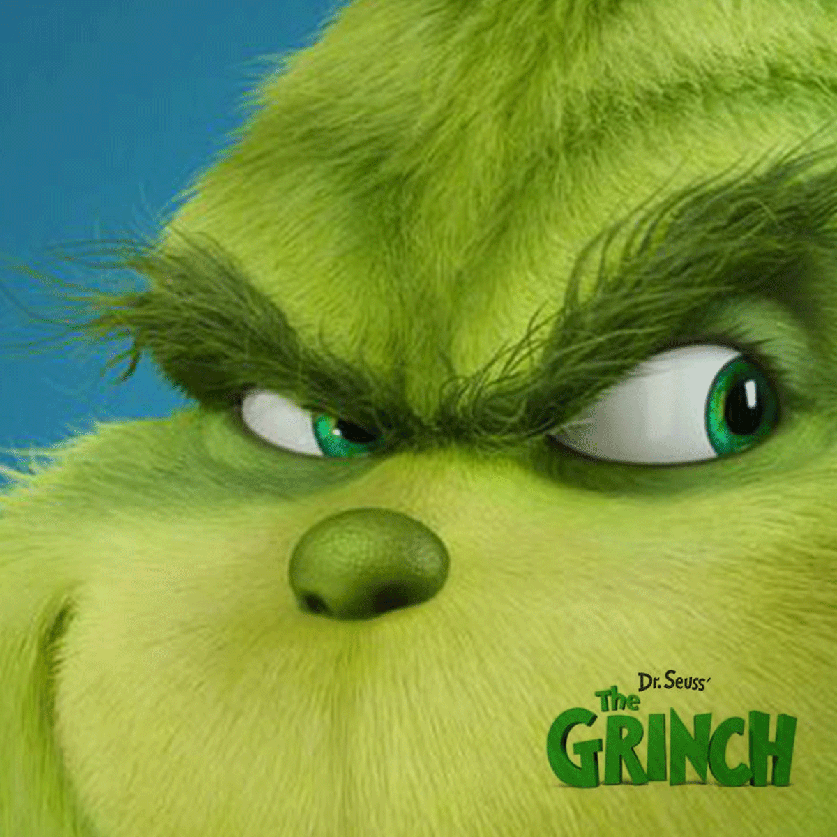 Grinch Liz Chy