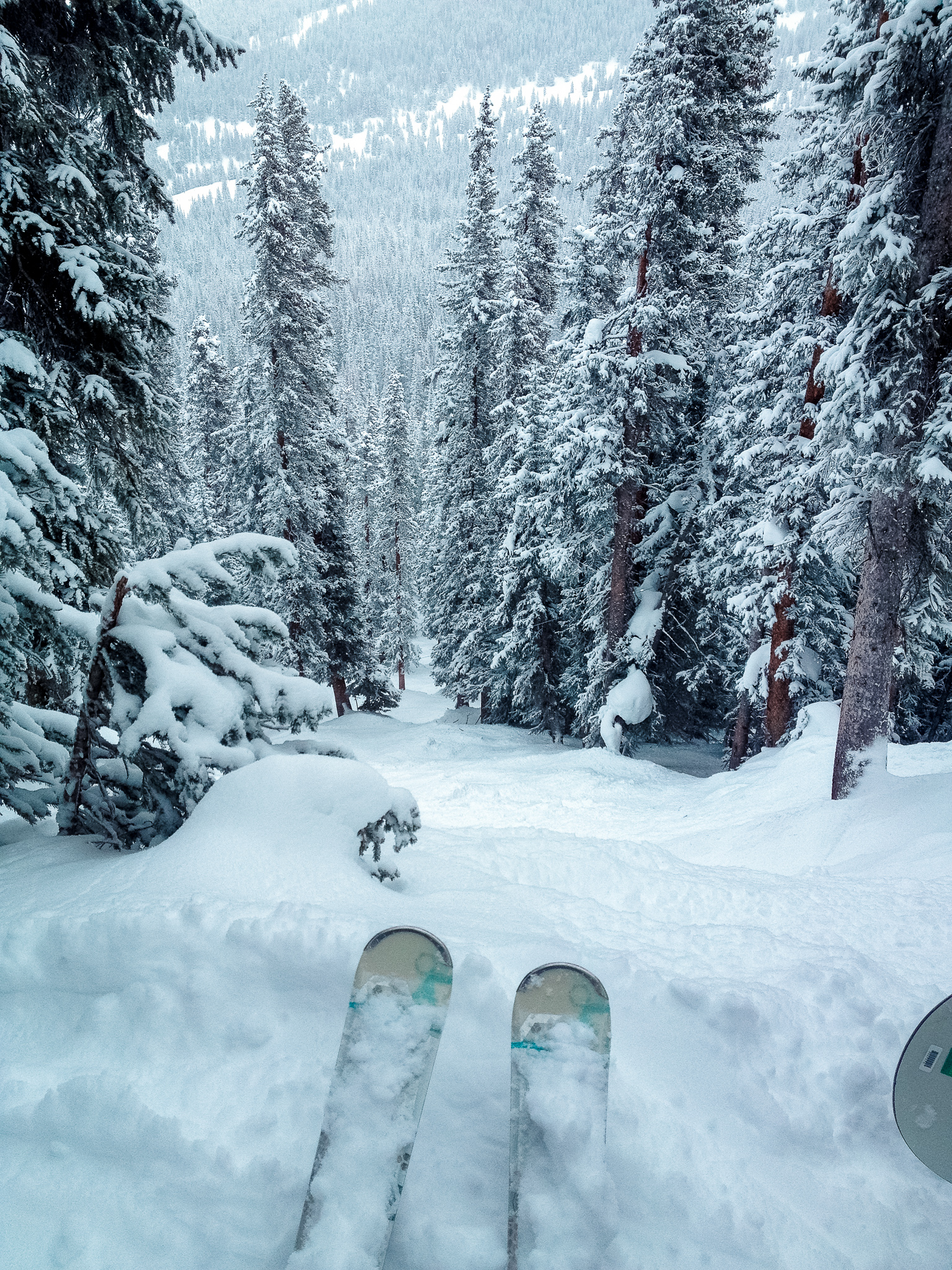 The Best Ski Runs in Colorado Liz Pacini(04)