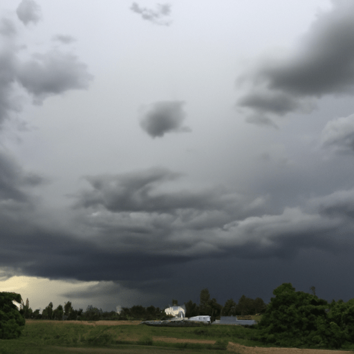 How Much Does A New Lawn Cost Lizard's Knowledge Mind Discovering