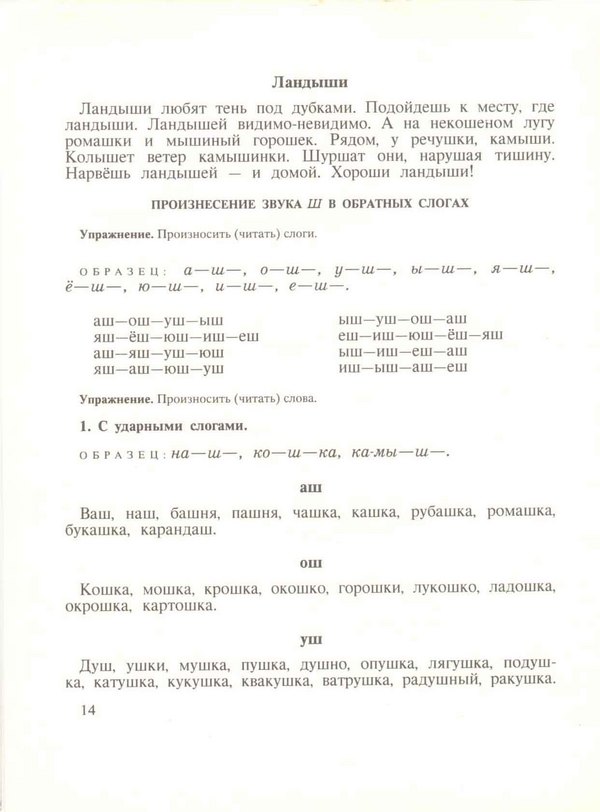 Narushenie zvukoproiznosheniya u detei bogomolova kniga — иллюстрация 15