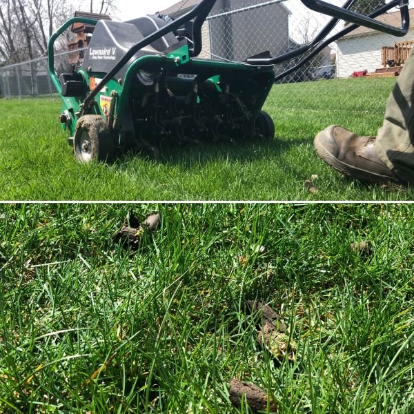 Preparing Your Lawn & Landscape For Winter