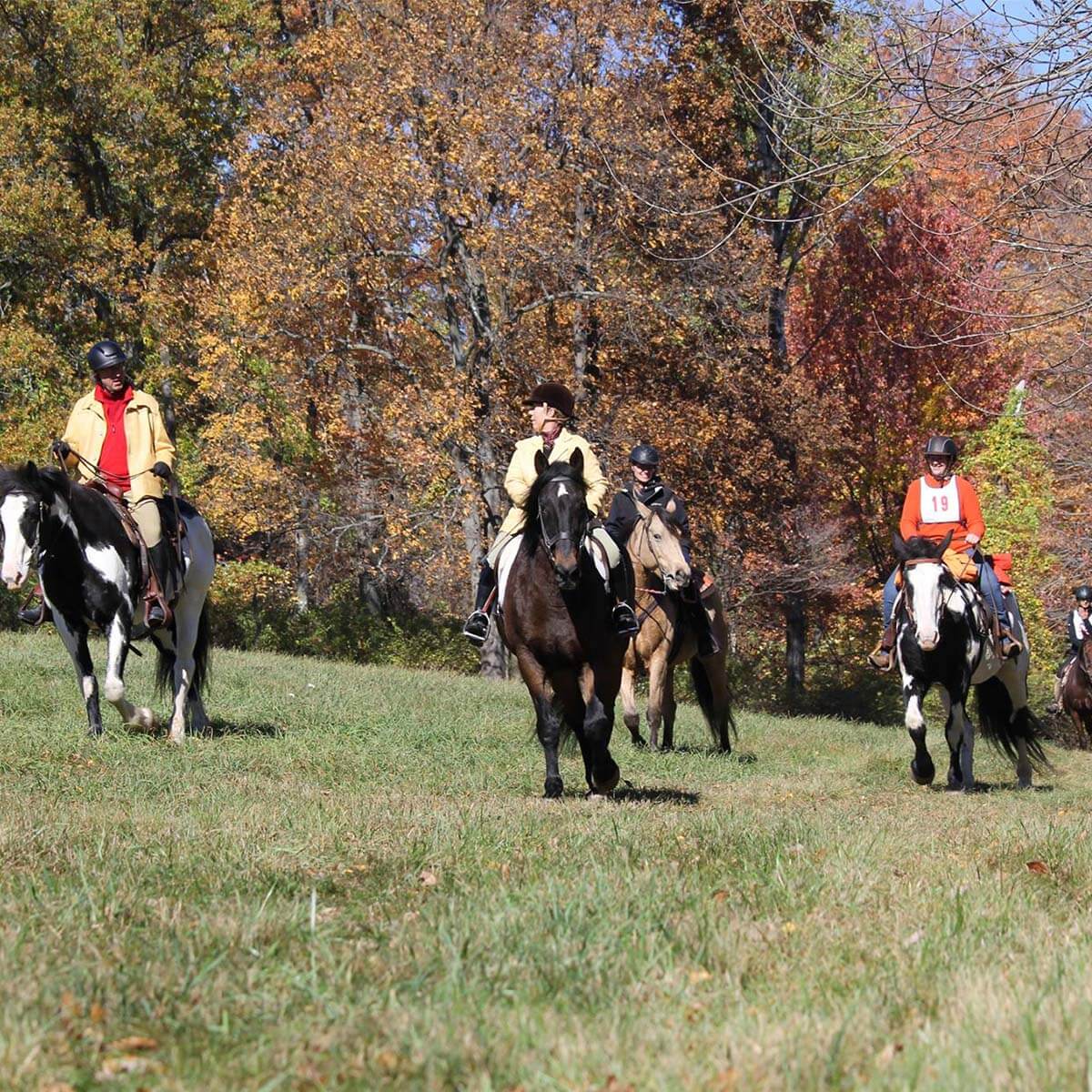 Photos Landsman Kill Trail Association
