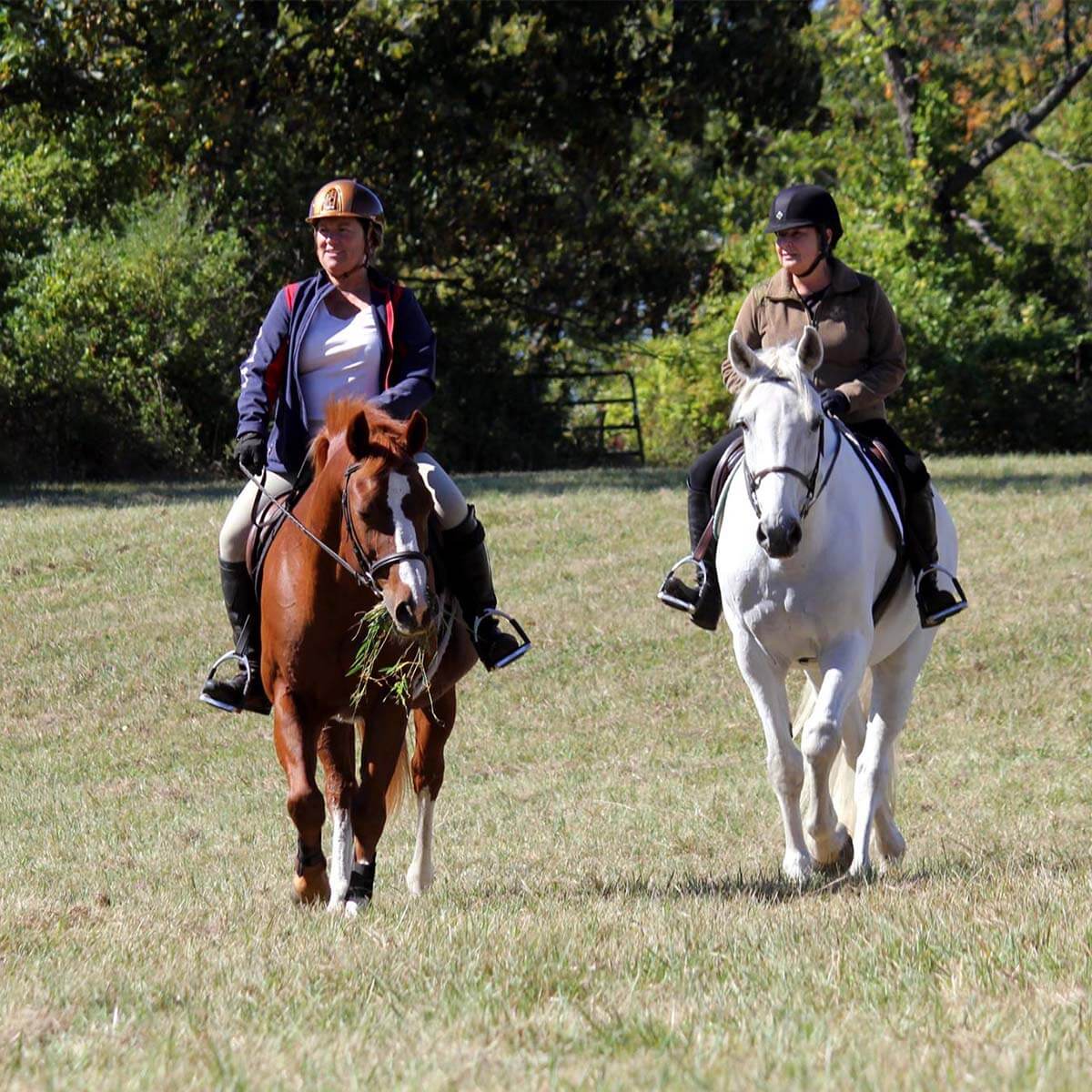 Photos Landsman Kill Trail Association
