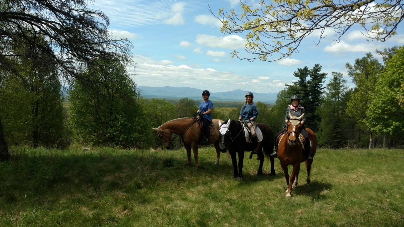 About Landsman Kill Trail Association