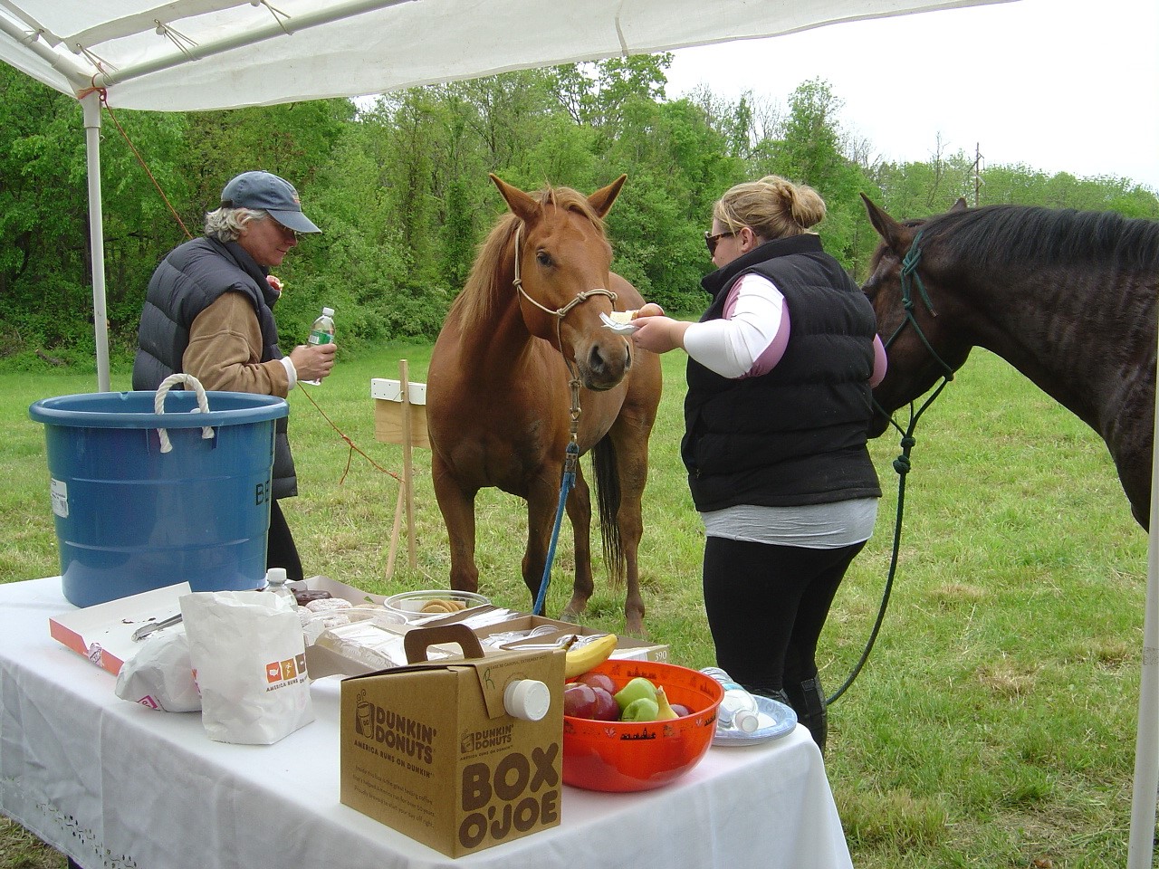 Photos Landsman Kill Trail Association