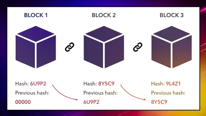 Immutability in Crypto Why Unchangeable Code is Key to True