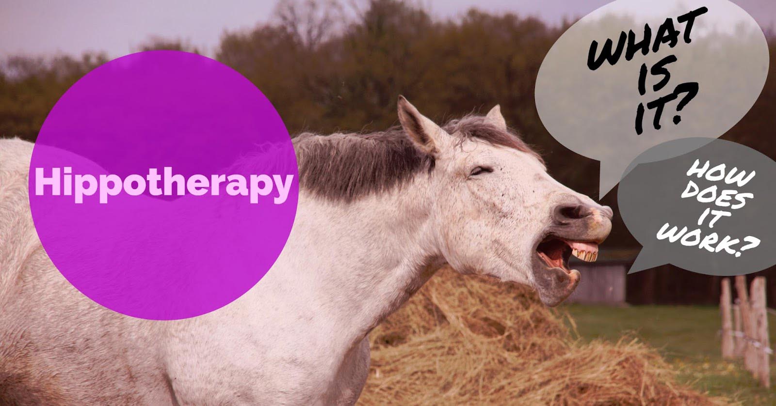 Hippotherapy What is it? How does it work? LLA Therapy