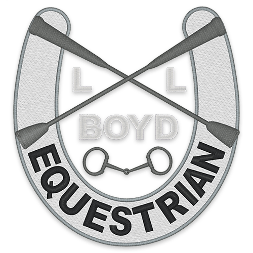 Horse Riding Lessons Horse Trainer Tyler, TX Lindale, TX Horse