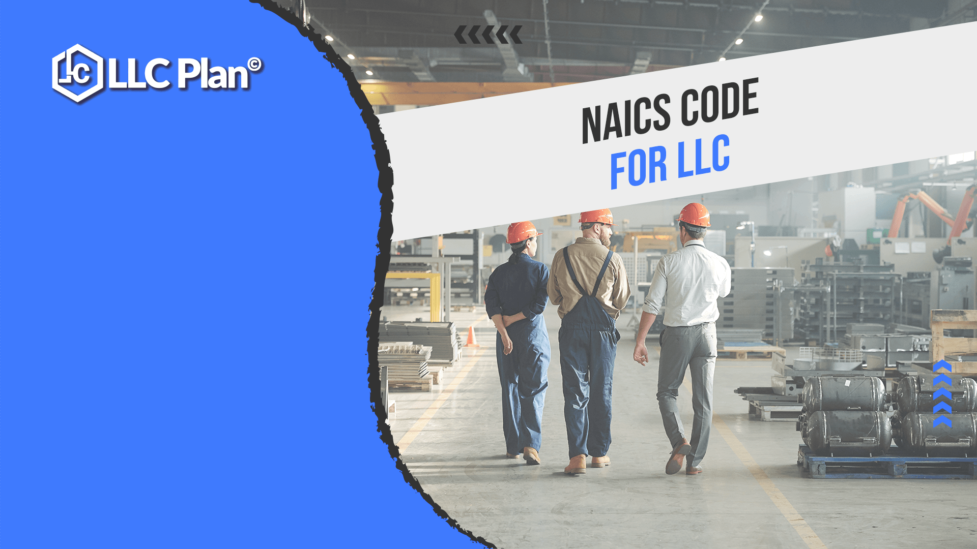 NAICS Code for LLCs LLC Plan