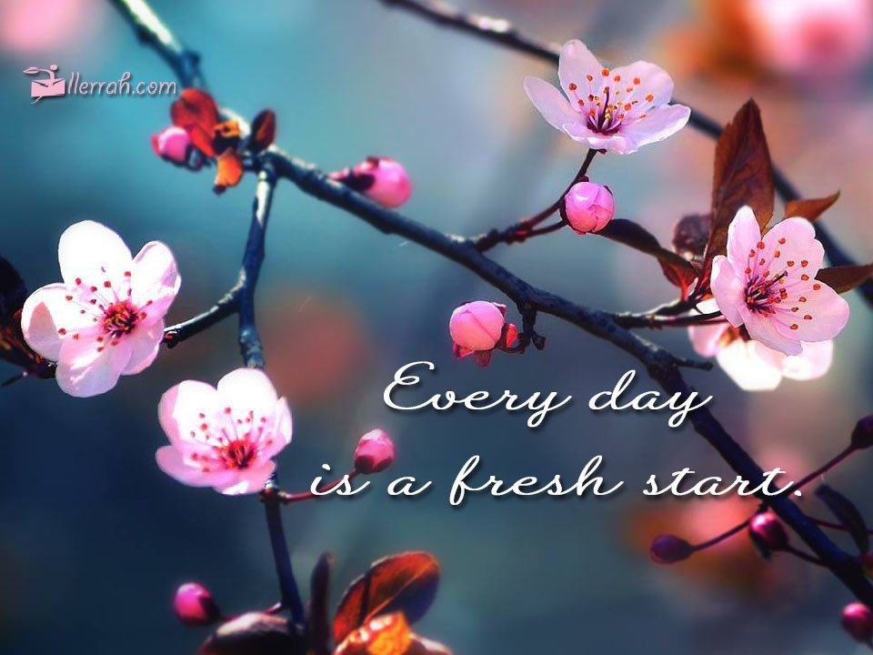 Every day is a Fresh Start