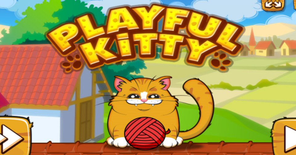Playful Kitty Game