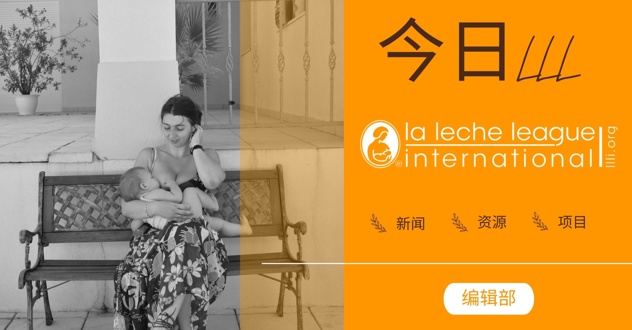 今日LLL 2 编辑部 La Leche League International