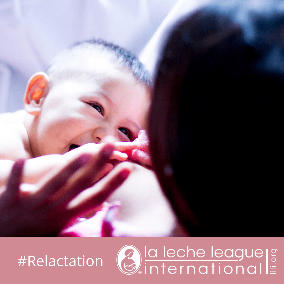 The Best La Leche League Lactation Cookie Recipe References