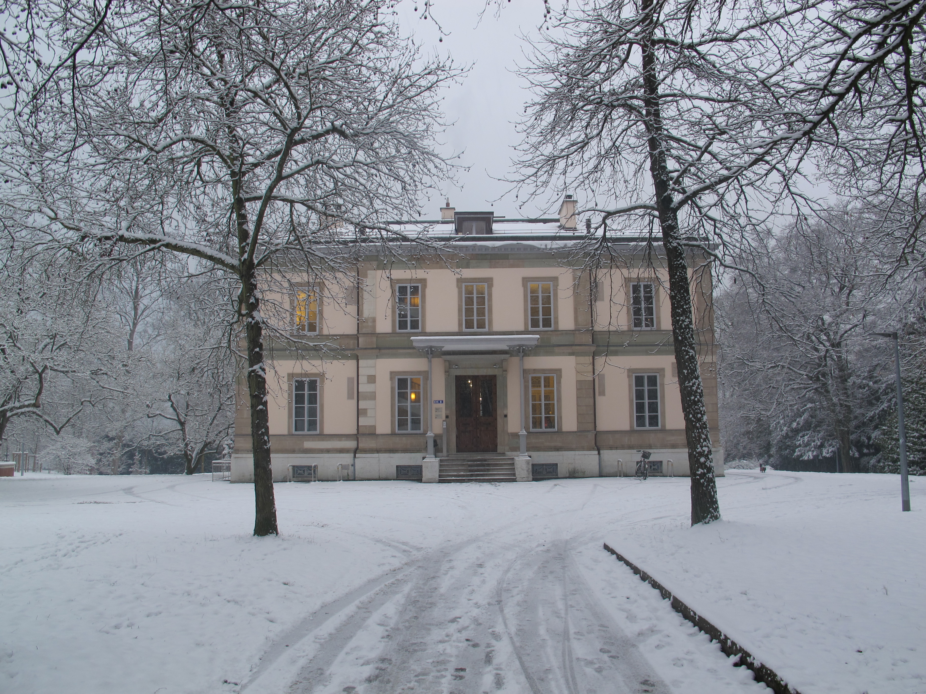 Geneva Academy of International Humanitarian Law and Human Rights LLM GUIDE