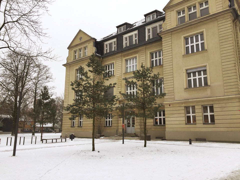 Freie Universität Berlin NCStudiengänge Studis Online