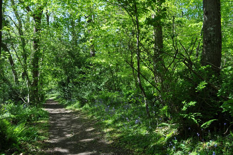 How Outdoor Activities Can Improve Your Physical and Mental Health