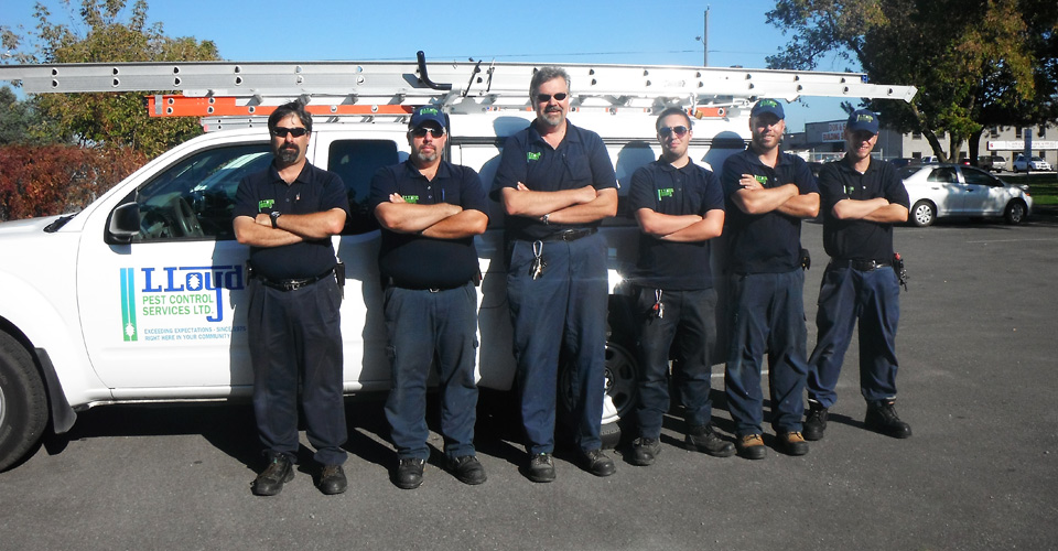 About Lloyd Pest Control