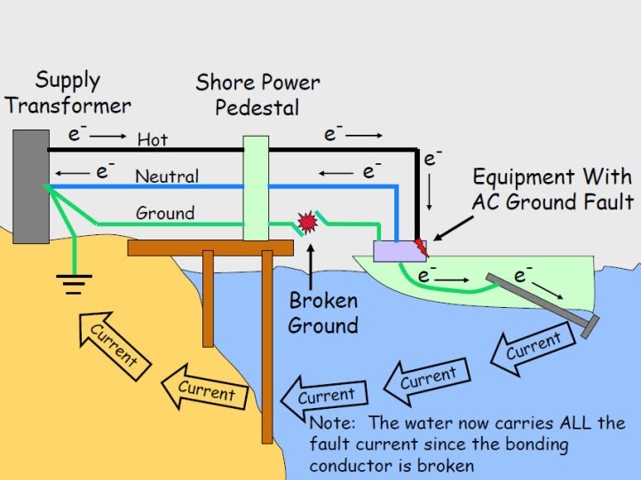 Electric Shock Drowning LMCD