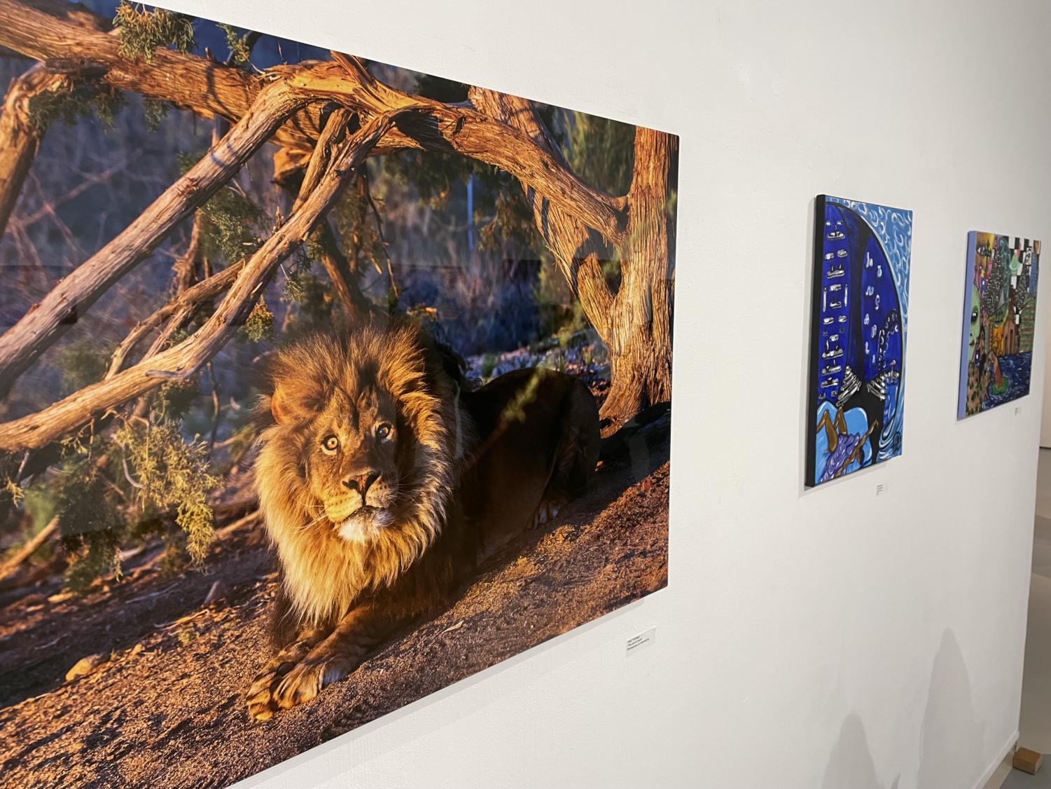 Guild brings ‘Energy’ to the LMC Art Gallery Experience