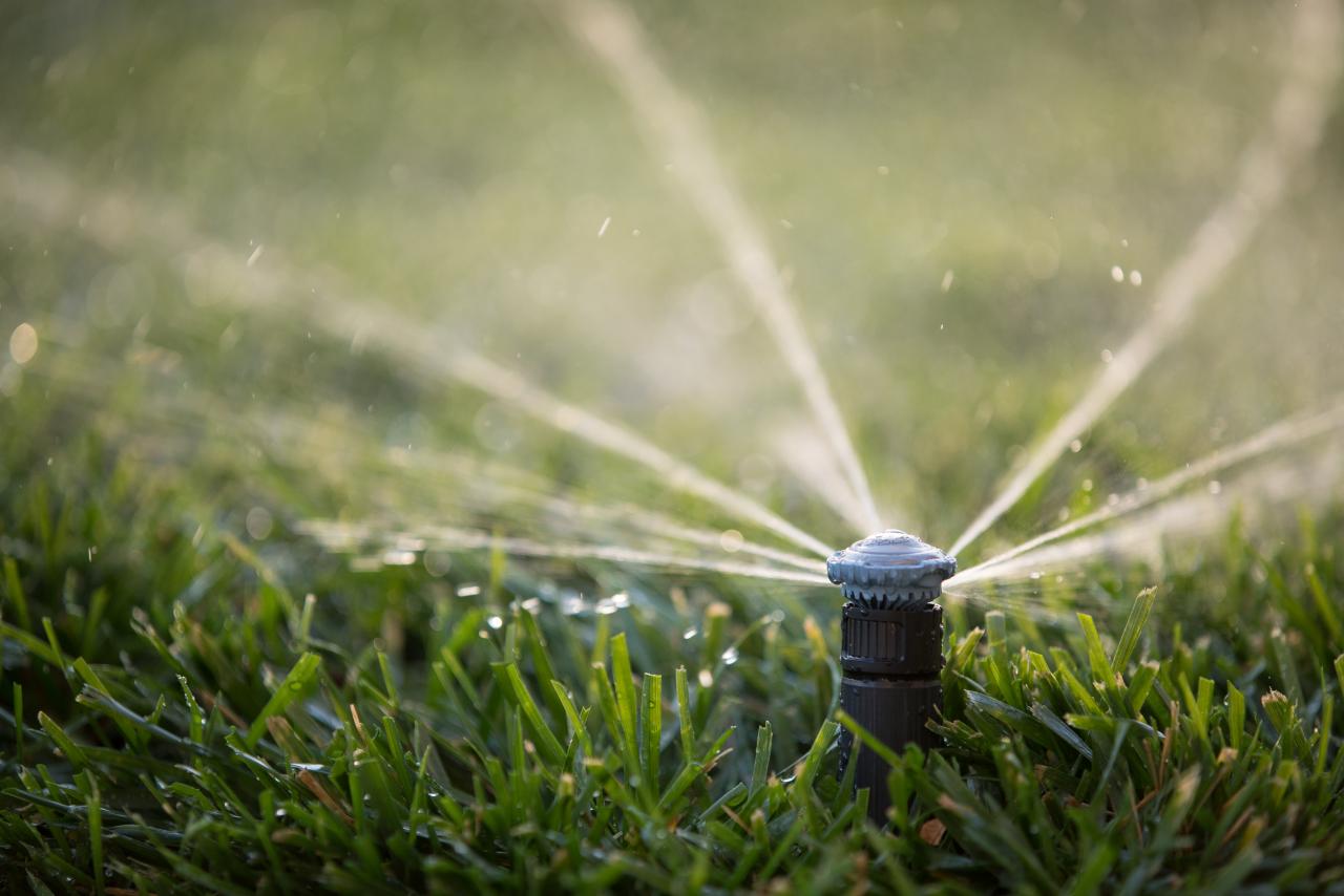 What is Smart Water Management? Lawn Management Company