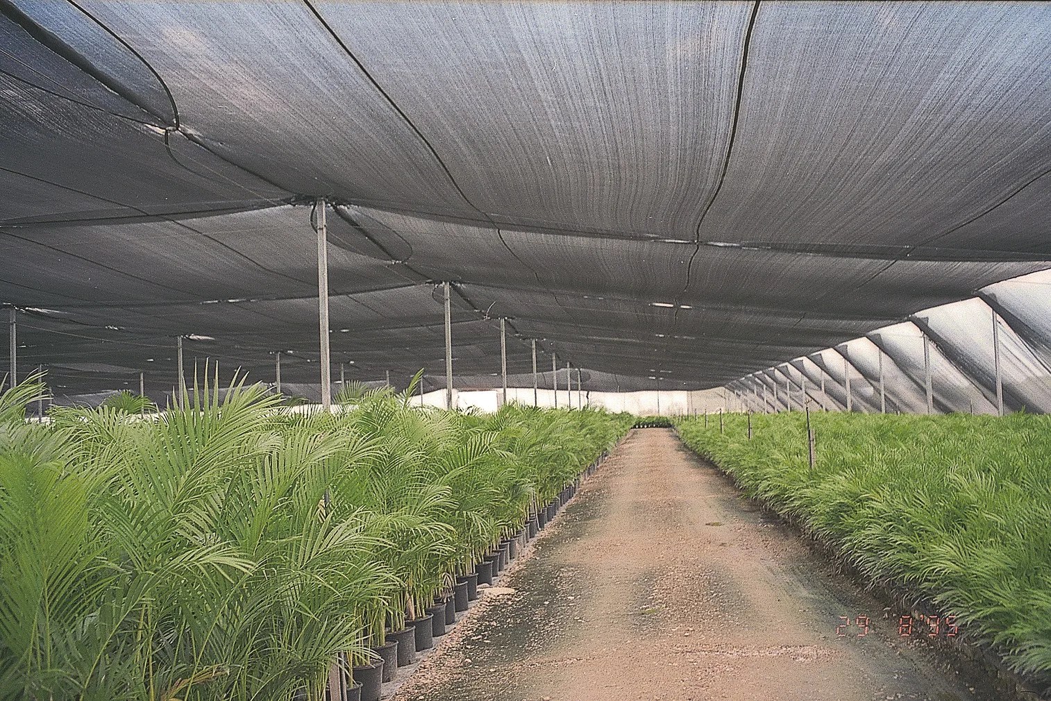 Shade Cloth For Plants Plant Ideas