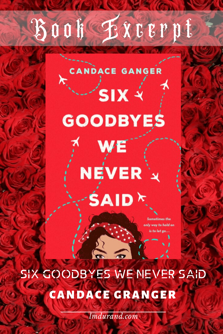 Book Excerpt Six goodbyes We never Said