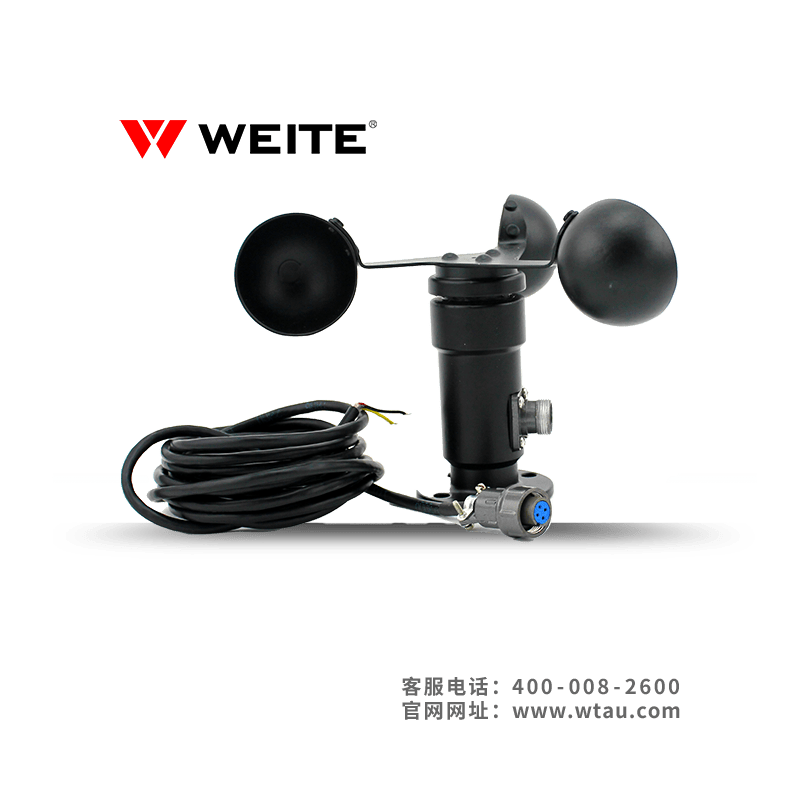 Jlfs2 wind speed sensor LMI Cranes