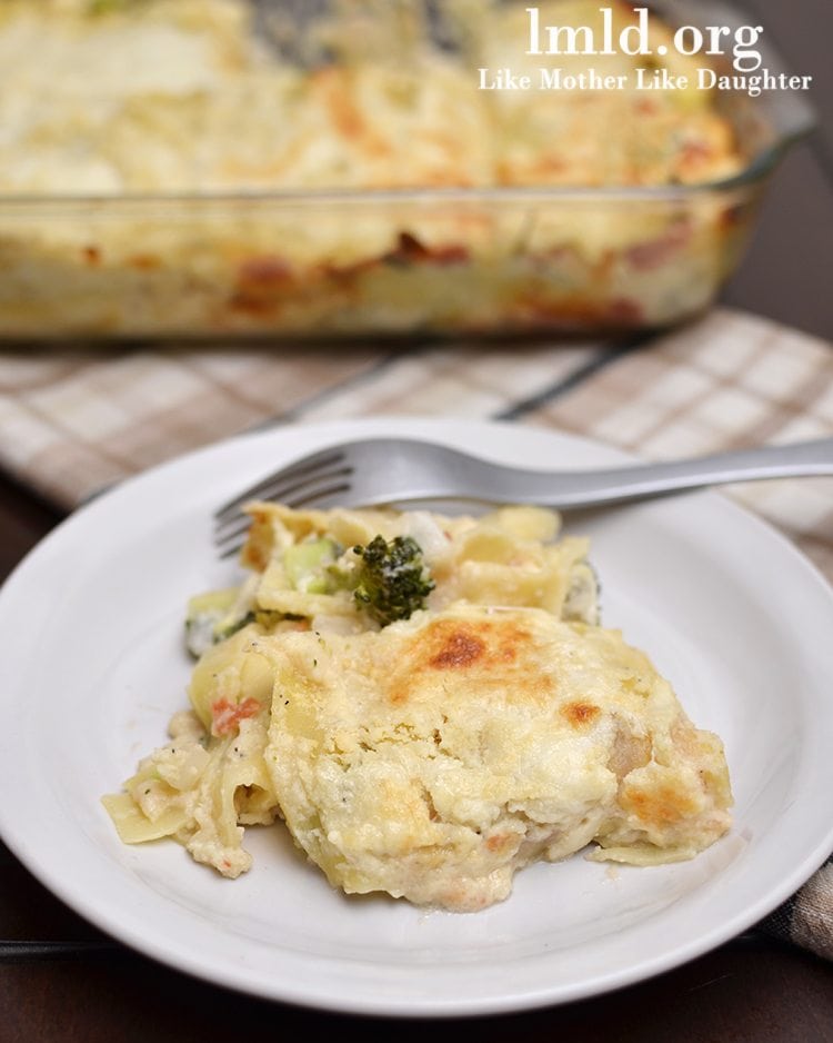 Front view of vegetarian alfredo lasagna on a white plate.
