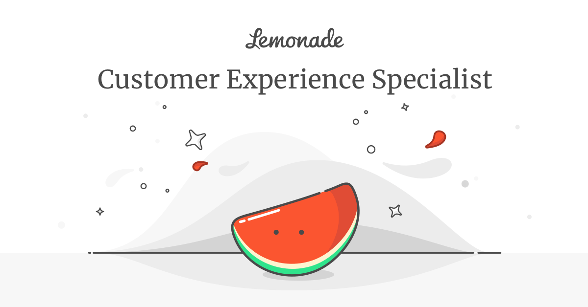 Customer Experience Specialist Lemonade Careers
