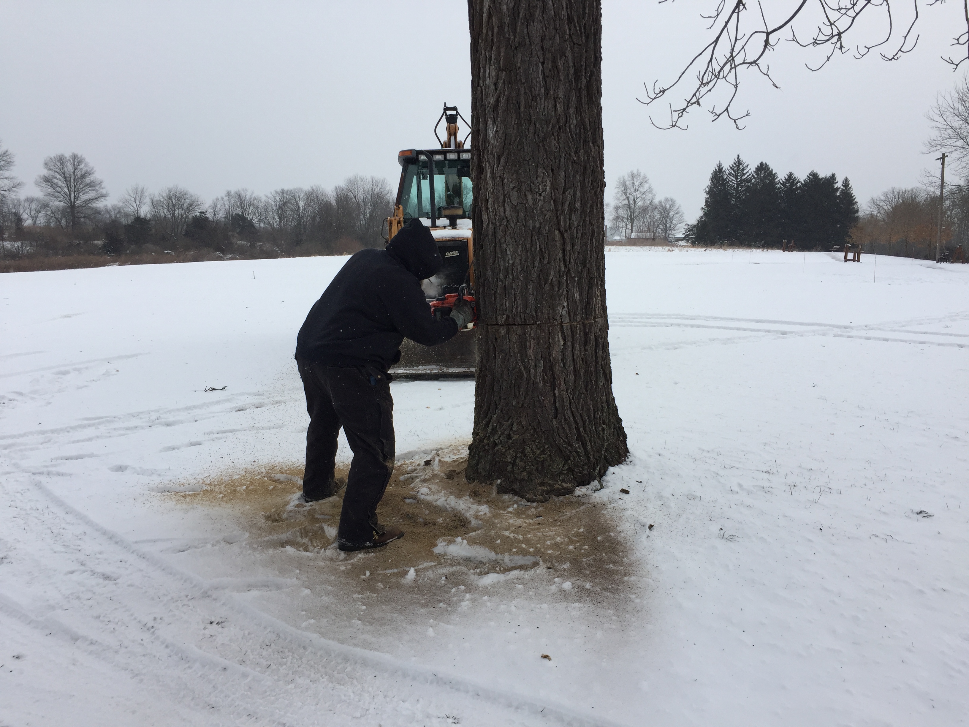 IMG_1249 Lower Merion Rod and Gun Club