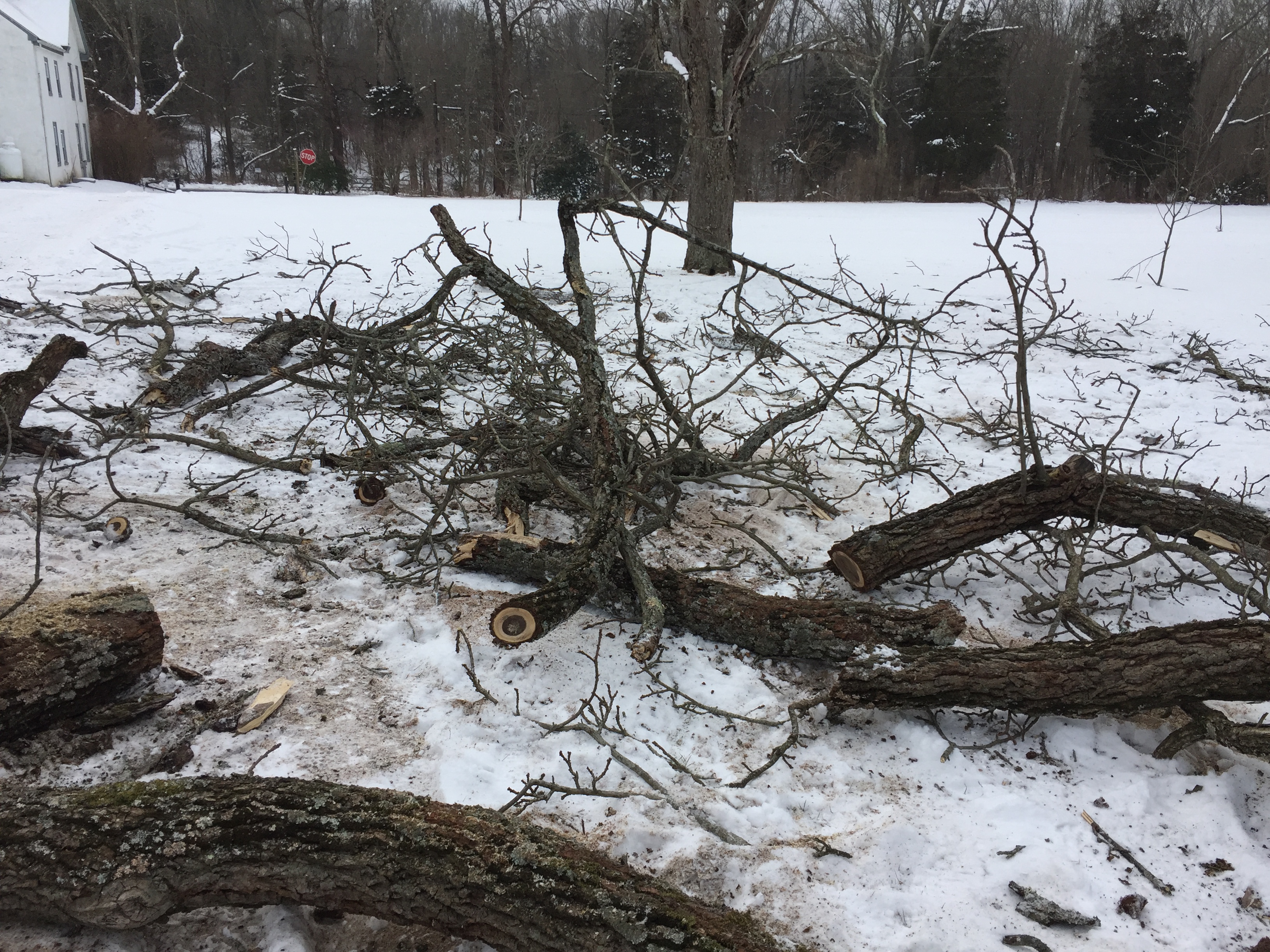 IMG_1265 Lower Merion Rod and Gun Club