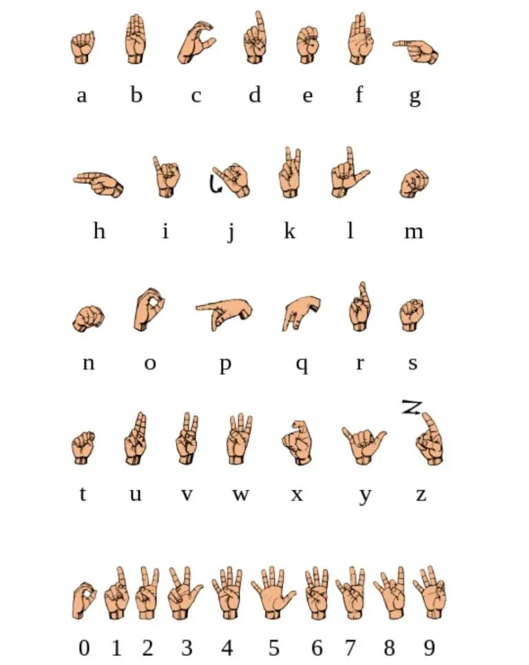 Is ASL Hard To Learn Meaning, Understanding The Basics, Early Learning