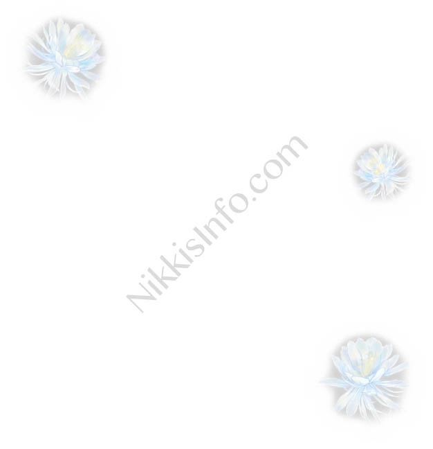 Love Nikki Lunar Fragrance Nikki's Info