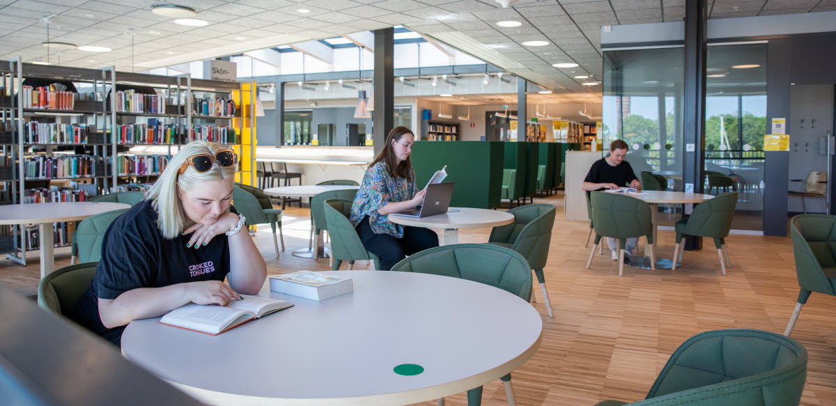 Bli gymnasielärare ingång engelska lnu.se