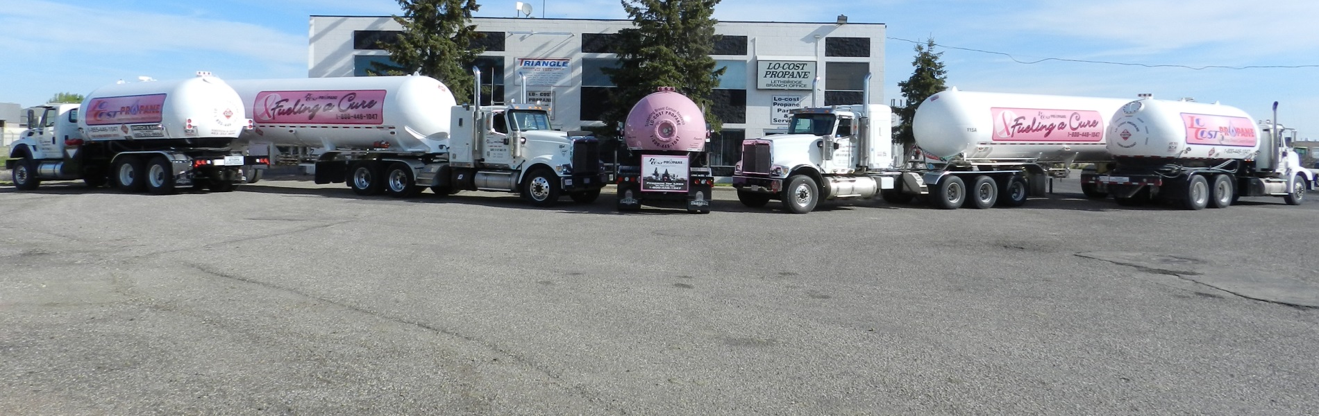 LoCost Propane Official site