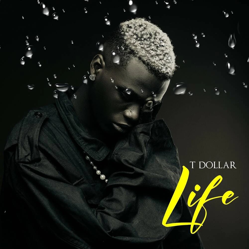 T Dollar Life (Mp3 Download) » Loadedsongs