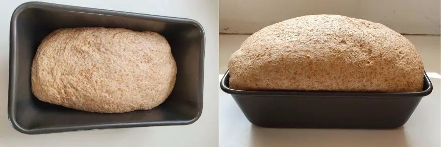 How to make bread using a dough hook Loafy Bread