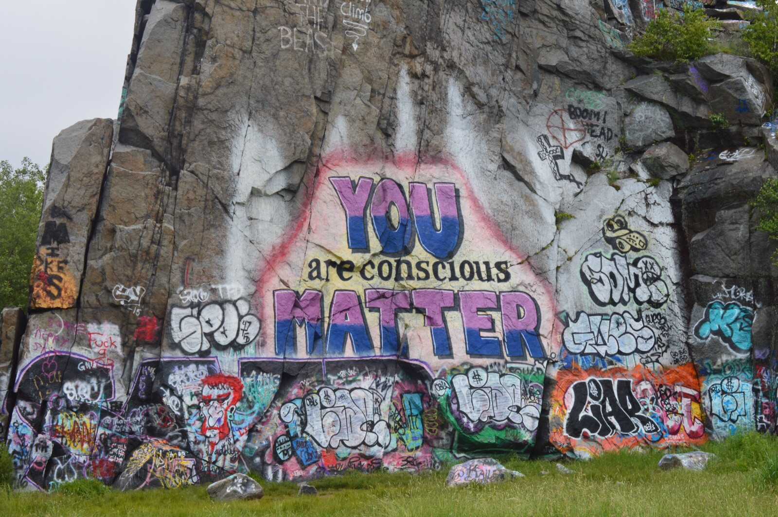 Graffiti Art or Vandalism The Lobby Observer