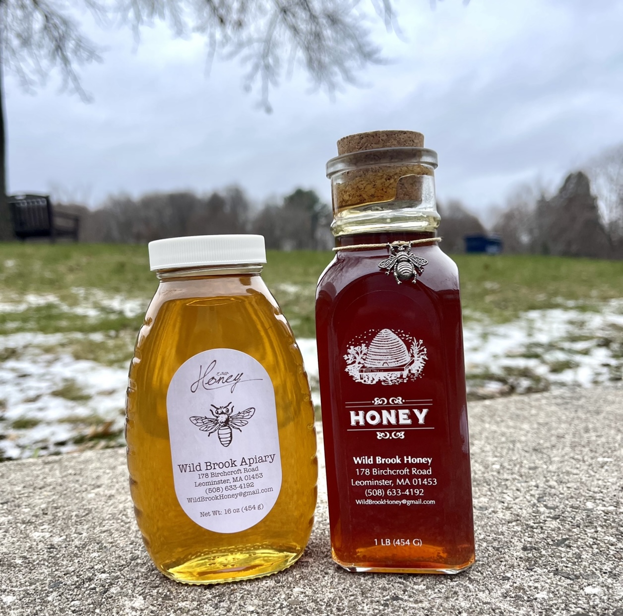 Science Teacher, Beekeeper, and Entrepreneur Mr. Fontaine Discusses