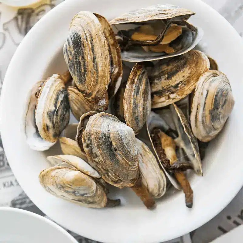 Maine Fresh Steamer Clams 1 lb Lobster Order