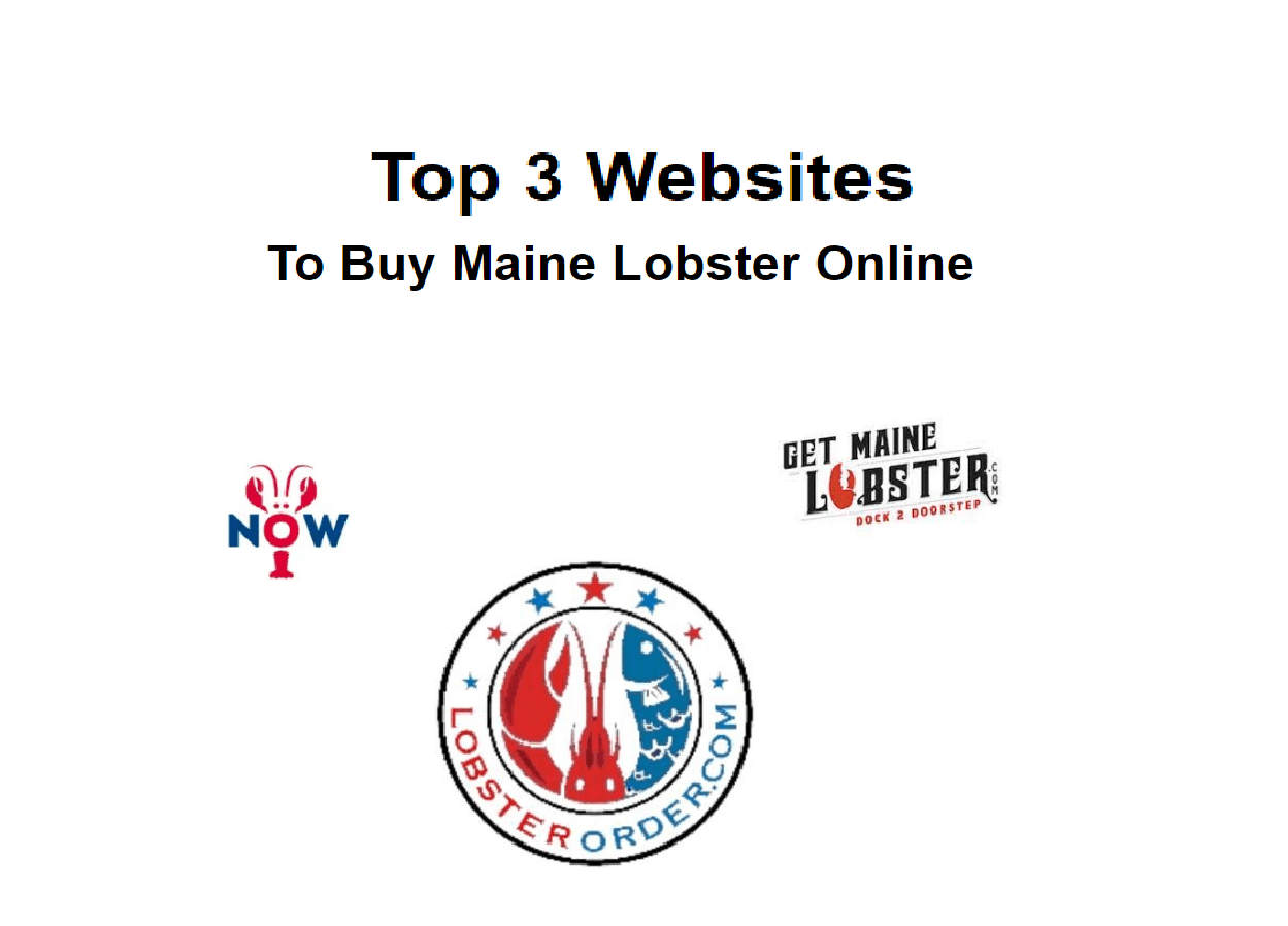 Top 3 sites To Buy Maine Lobster Online Lobster Order