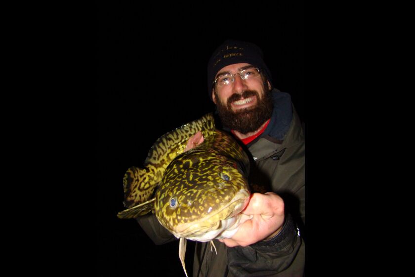 How about that? Minnesota has a new game fish species the oncelowly