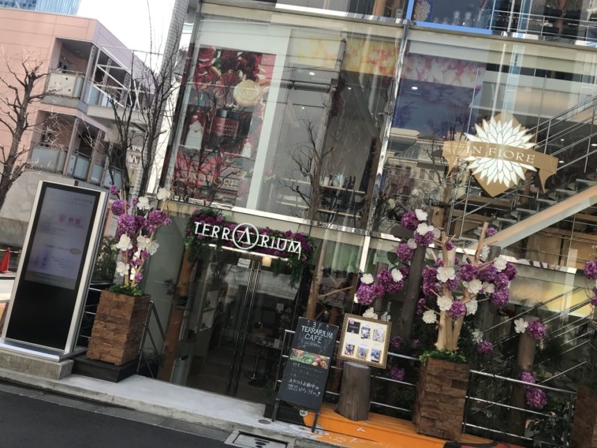 全3階建て！TERRARIUM CAFE（テラリウムカフェ）に行ってみた ロカフレ
