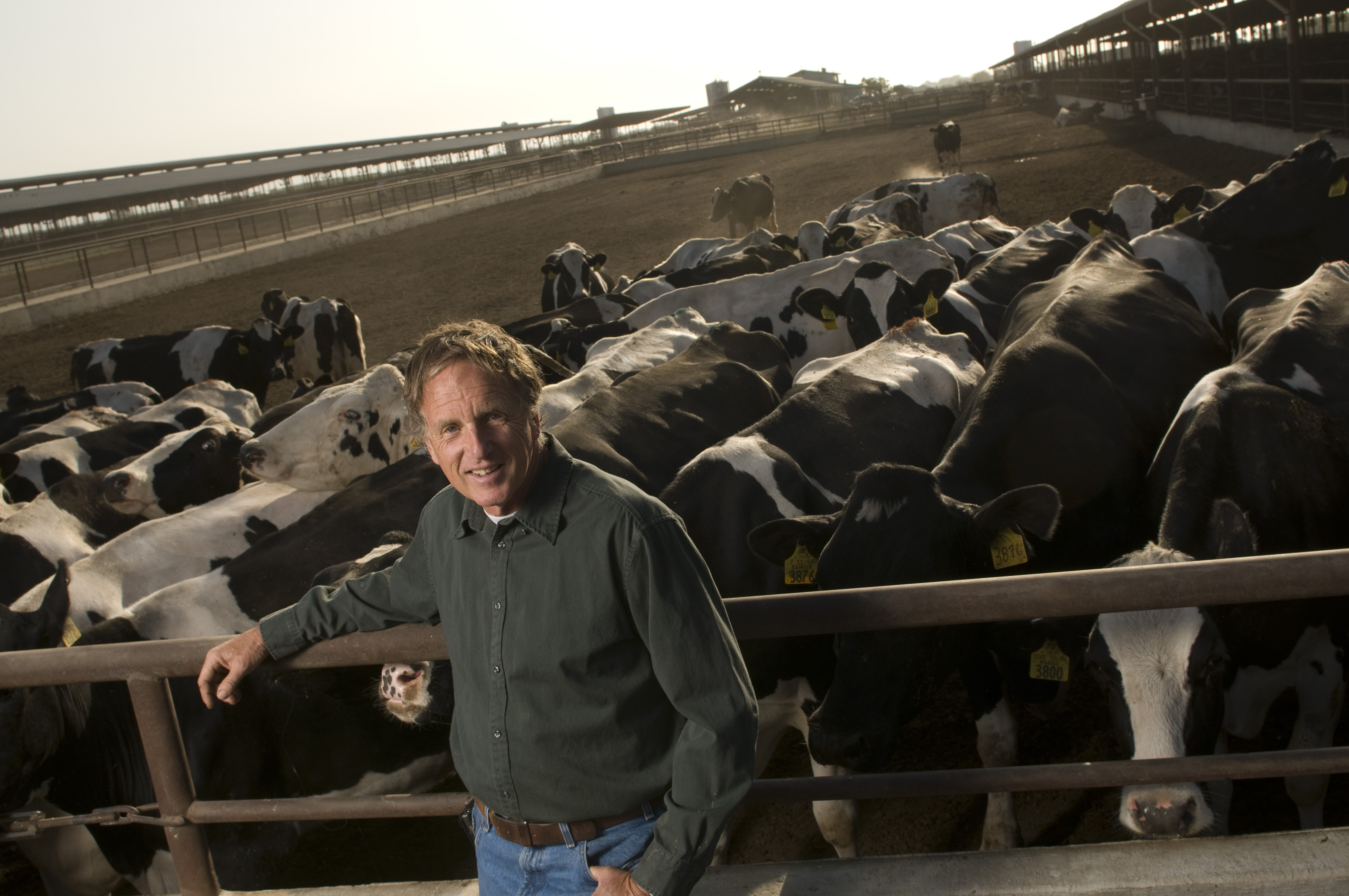 Fiscalini Cheese Company FreshPoint Local