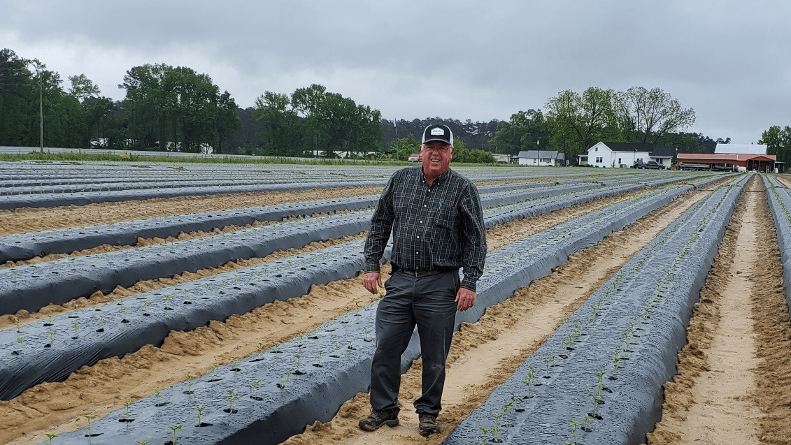 Wilson Farms FreshPoint Local