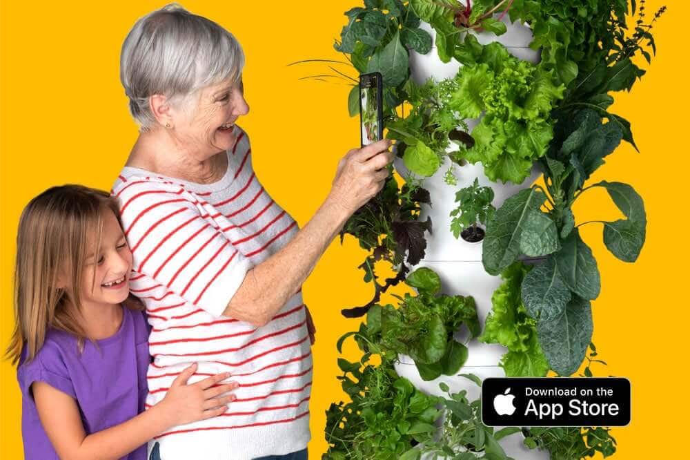 Community Spotlight Lettuce Grow Local Anchor